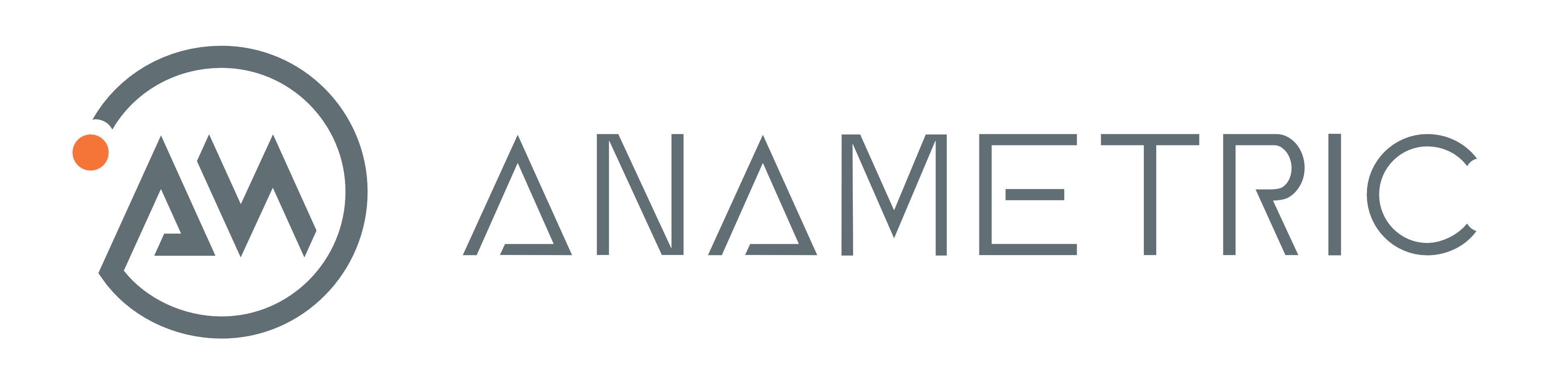 Anametric